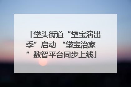 垡头街道“垡宝演出季”启动 “垡宝治家”数智平台同步上线