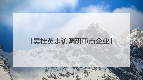 吴桂英走访调研重点企业