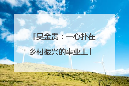 吴金贵：一心扑在乡村振兴的事业上
