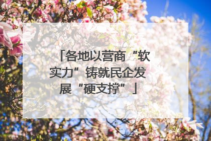 各地以营商“软实力”铸就民企发展“硬支撑”