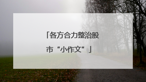 各方合力整治股市“小作文”