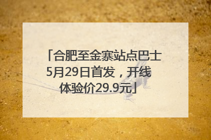 合肥至金寨站点巴士5月29日首发，开线体验价29.9元