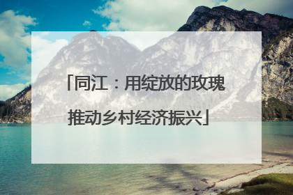 同江：用绽放的玫瑰 推动乡村经济振兴