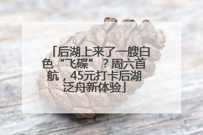 后湖上来了一艘白色“飞碟”？周六首航，45元打卡后湖泛舟新体验