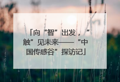 向“智”出发，“触”见未来——“中国传感谷”探访记