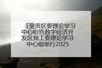 呈贡区委理论学习中心组暨数字经济开发区党工委理论学习中心组举行2025年第七次学习会议