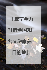 咸宁全力打造全国知名文旅康养目的地
