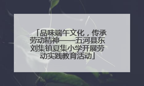 品味端午文化，传承劳动精神——五河县东刘集镇夏集小学开展劳动实践教育活动