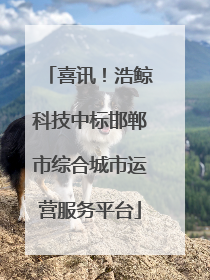 喜讯！浩鲸科技中标邯郸市综合城市运营服务平台