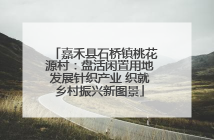 嘉禾县石桥镇桃花源村：盘活闲置用地发展针织产业 织就乡村振兴新图景