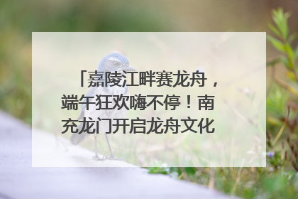 嘉陵江畔赛龙舟，端午狂欢嗨不停！南充龙门开启龙舟文化盛宴｜镜观四川