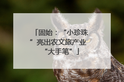 固始：“小珍珠”亮出农文旅产业“大手笔”