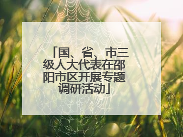 国、省、市三级人大代表在邵阳市区开展专题调研活动