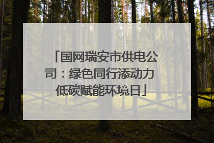 国网瑞安市供电公司：绿色同行添动力 低碳赋能环境日