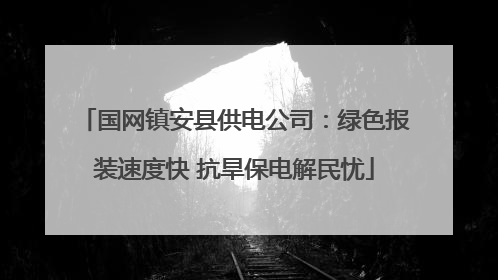 国网镇安县供电公司：绿色报装速度快 抗旱保电解民忧