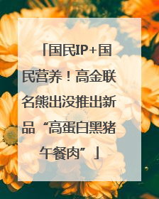国民IP+国民营养！高金联名熊出没推出新品“高蛋白黑猪午餐肉”