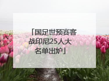 国足世预赛客战印尼25人大名单出炉