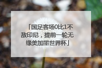 国足客场0比1不敌印尼，提前一轮无缘美加墨世界杯