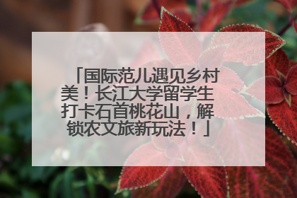 国际范儿遇见乡村美！长江大学留学生打卡石首桃花山，解锁农文旅新玩法！