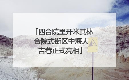 四合院里开米其林 合院式街区中海大吉巷正式亮相