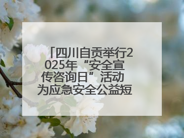 四川自贡举行2025年“安全宣传咨询日”活动 为应急安全公益短视频获奖者颁奖