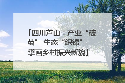 四川芦山：产业“破茧” 生态“织锦” 擘画乡村振兴新貌