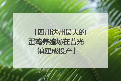 四川达州最大的蛋鸡养殖场在普光镇建成投产