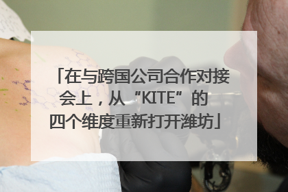 在与跨国公司合作对接会上，从“KITE”的四个维度重新打开潍坊