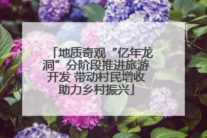 地质奇观“亿年龙洞”分阶段推进旅游开发 带动村民增收助力乡村振兴