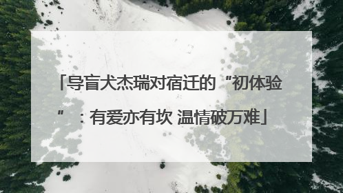 导盲犬杰瑞对宿迁的“初体验”：有爱亦有坎 温情破万难