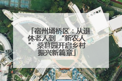 宿州埇桥区：从退休老人到 “新农人” 桑葚园开启乡村振兴新篇章