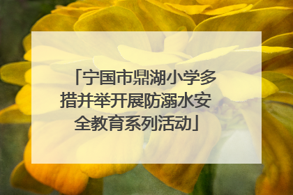 宁国市鼎湖小学多措并举开展防溺水安全教育系列活动
