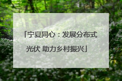 宁夏同心：发展分布式光伏 助力乡村振兴