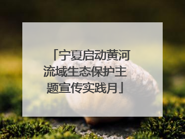 宁夏启动黄河流域生态保护主题宣传实践月