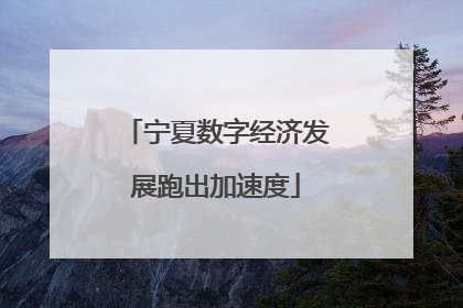 宁夏数字经济发展跑出加速度