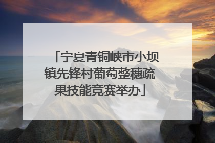 宁夏青铜峡市小坝镇先锋村葡萄整穗疏果技能竞赛举办