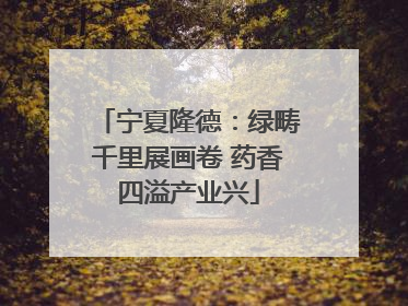 宁夏隆德：绿畴千里展画卷 药香四溢产业兴