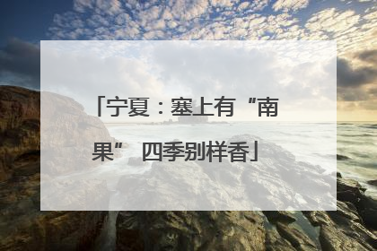 宁夏：塞上有“南果” 四季别样香