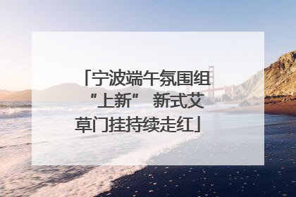 宁波端午氛围组“上新” 新式艾草门挂持续走红