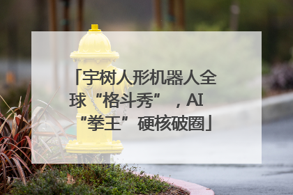 宇树人形机器人全球“格斗秀”，AI“拳王”硬核破圈