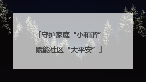 守护家庭“小和谐” 赋能社区“大平安”