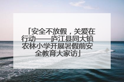 安全不放假，关爱在行动——庐江县同大镇农林小学开展暑假前安全教育大家访