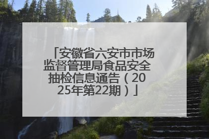 安徽省六安市市场监督管理局食品安全抽检信息通告（2025年第22期）