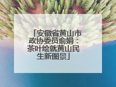 安徽省黄山市政协委员俞娟：茶叶绘就黄山民生新图景