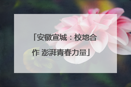 安徽宣城：校地合作 澎湃青春力量