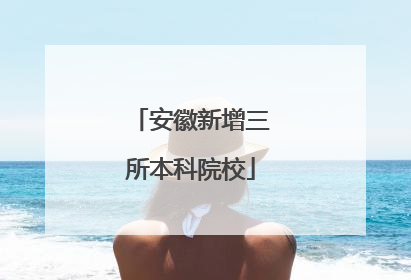安徽新增三所本科院校