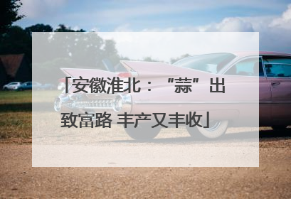 安徽淮北：“蒜”出致富路 丰产又丰收