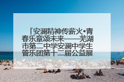 安澜精神传薪火•青春乐章颂未来——芜湖市第二中学安澜中学生管乐团第十二届公益展演圆满举行