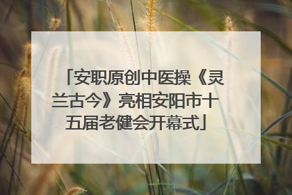 安职原创中医操《灵兰古今》亮相安阳市十五届老健会开幕式
