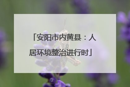 安阳市内黄县：人居环境整治进行时